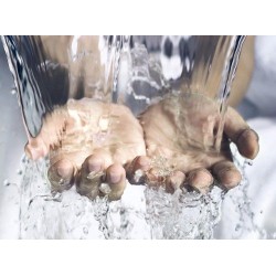 Disinfection, Sanitization & Sterilization