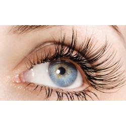 Lash Enhancement