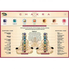 Chakra Mini Chart 