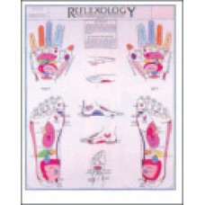 Reflexology Chart (Hands and Feet)